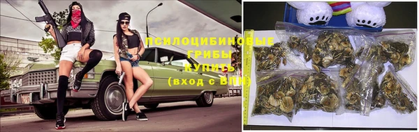 трава Верхний Тагил