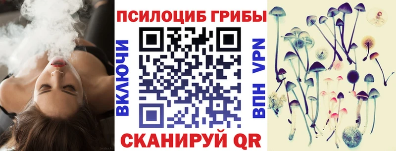 нарко площадка телеграм  Славянск-на-Кубани  Галлюциногенные грибы Psilocybine cubensis  где можно купить наркотик 